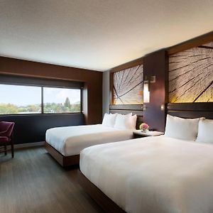 Queen Room Tub Mobility Accessible
